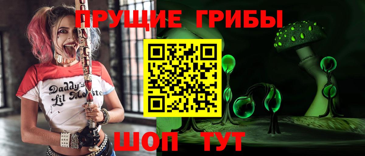 Валуйки  Галлюциногенные грибы мицелий  Вход с VPN 